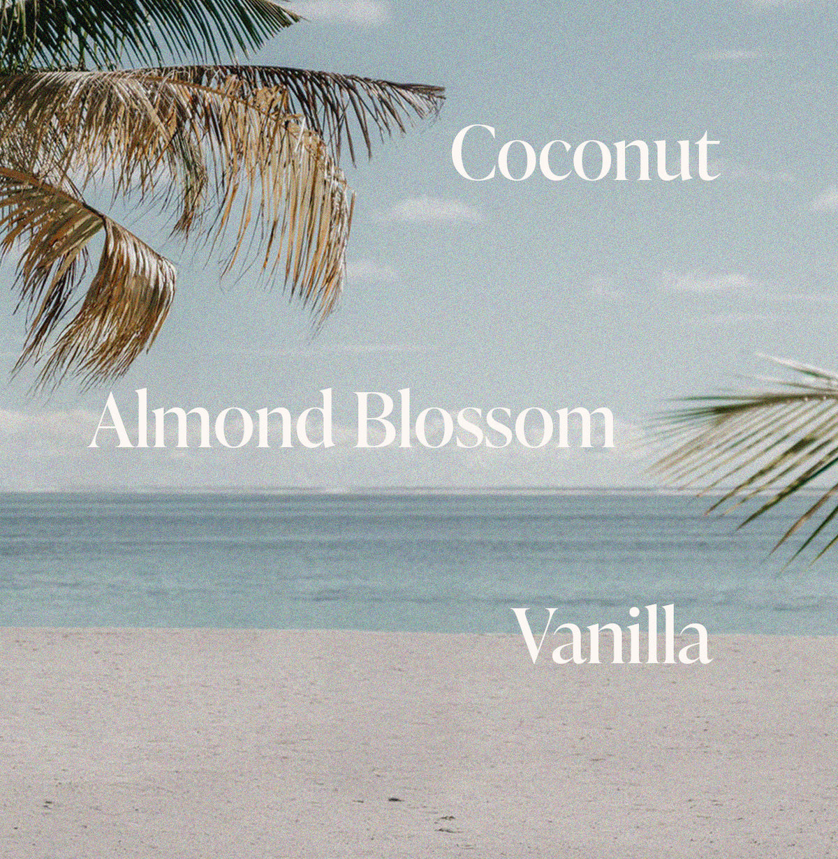 Pink Beach - Shimmering Body Oil