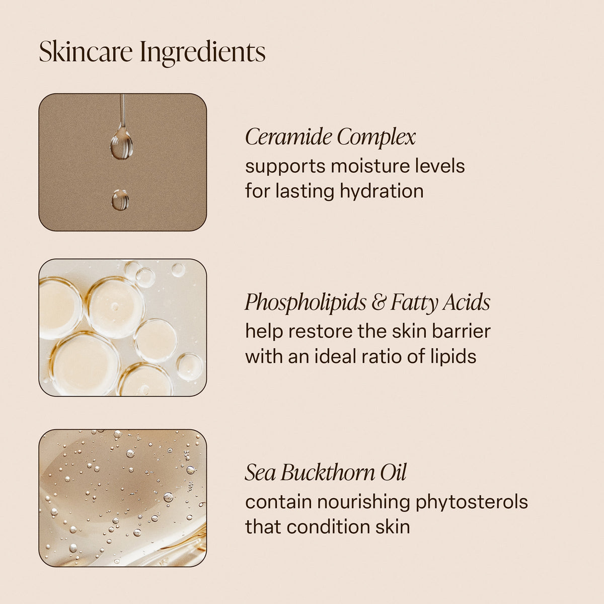 Pink Beach - Body Butter